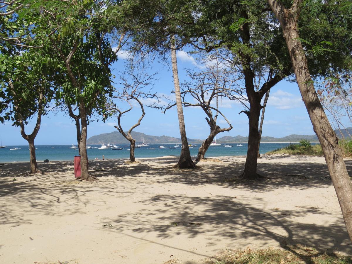 El Mono Loco Hotel Tamarindo Exteriér fotografie