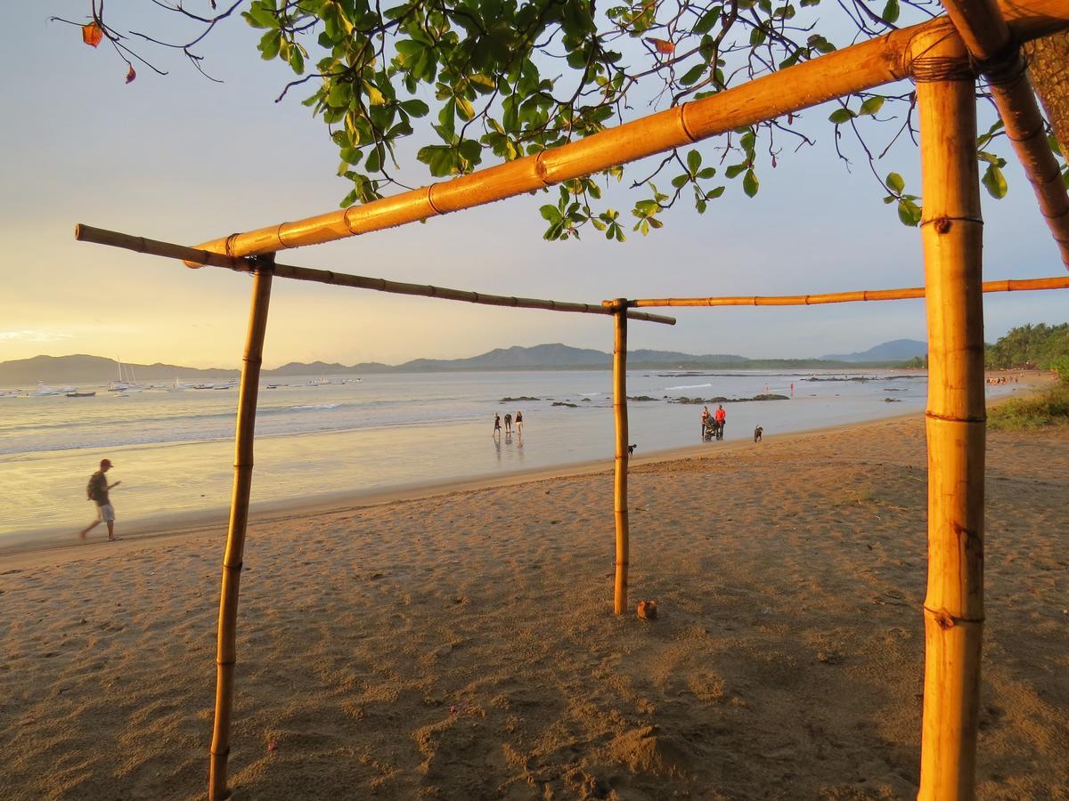 El Mono Loco Hotel Tamarindo Exteriér fotografie